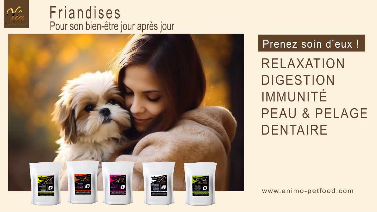 friandises-pour-le-bien-etre-du-chien-ou-chiot